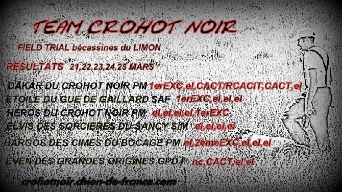 du Crohot noir - Field trial bécassines LE LIMON