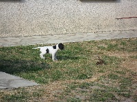 gitsy